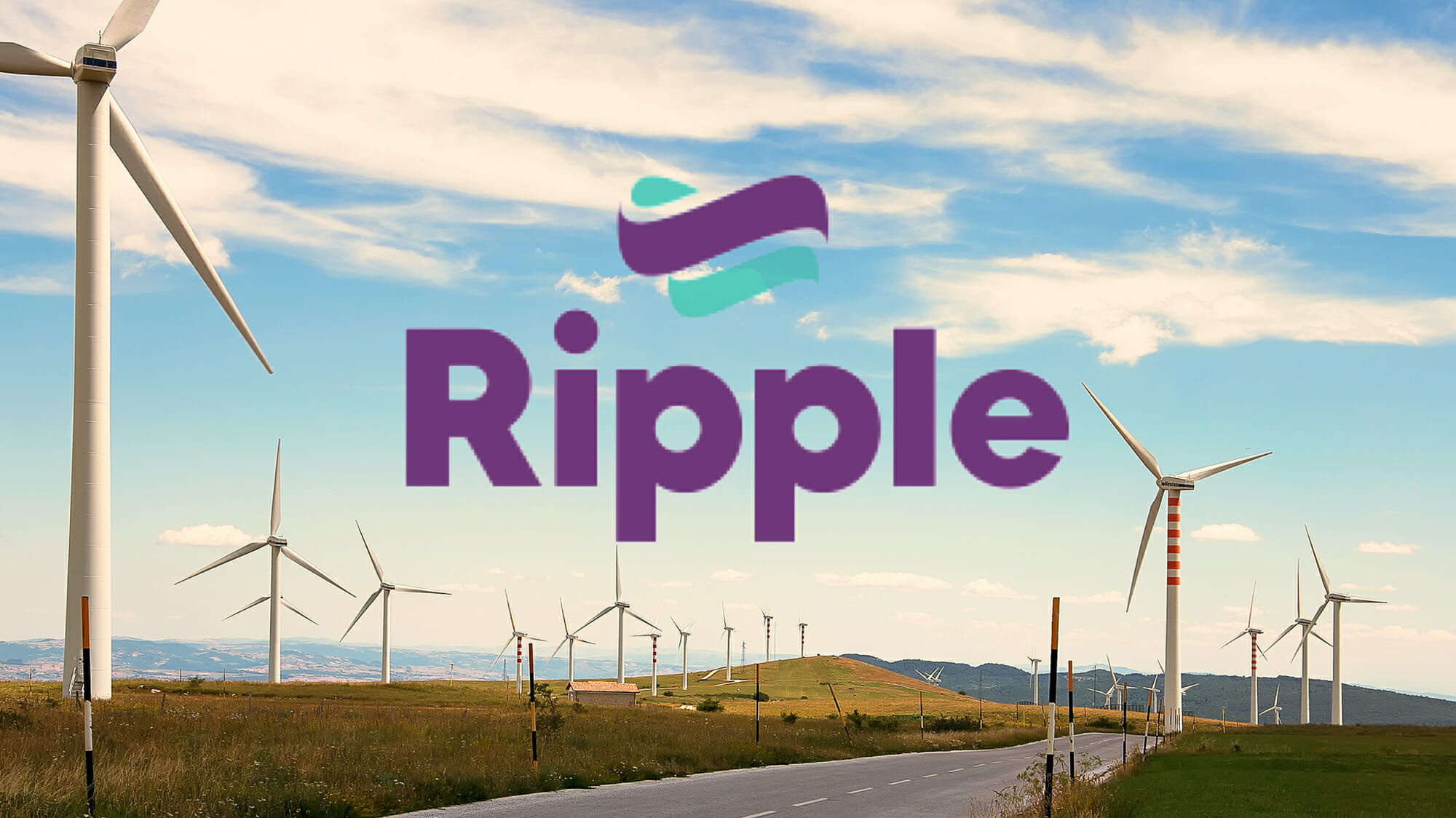 Ripple Energy making waves with new wind farm Featured Image
